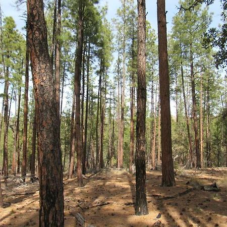 Forest Cabin 4 Cowboys Dream Payson Ngoại thất bức ảnh