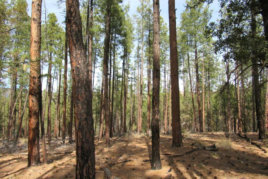 Forest Cabin 4 Cowboys Dream Payson Ngoại thất bức ảnh